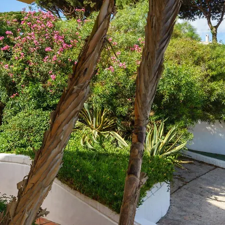 Appartement Cabopino-2 By Interhome
